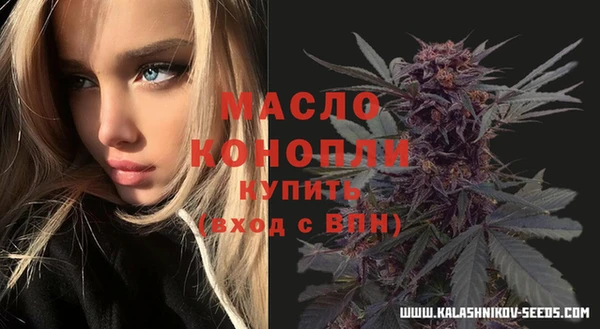 молекула духа Алексеевка