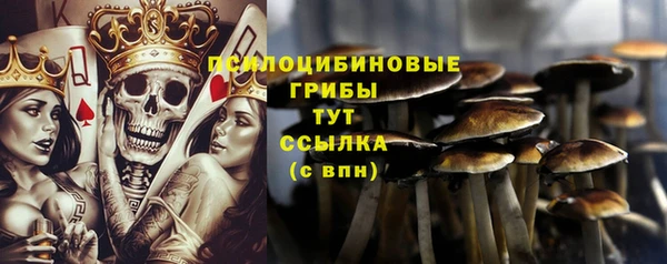 мяу мяу мука Богданович