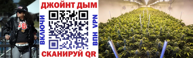 где купить наркоту Краснозаводск Бошки марихуана OG Kush
